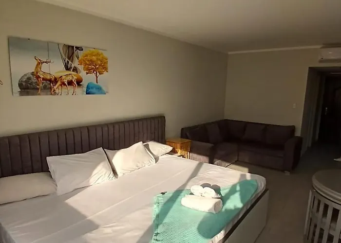 Apartment Scandic